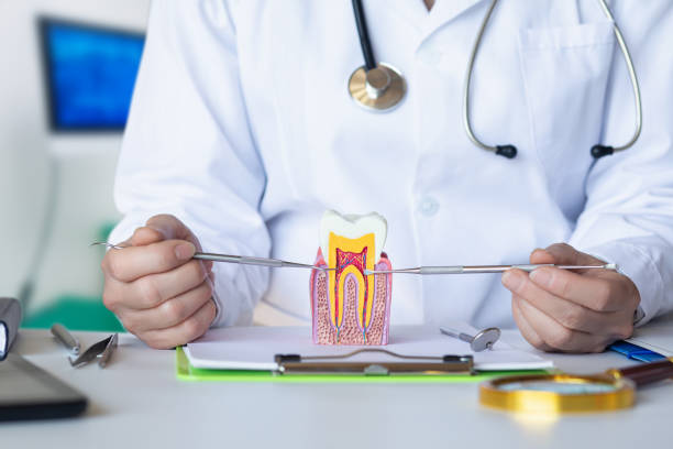 Best Emergency Root Canal Treatment in Beaufort, NC